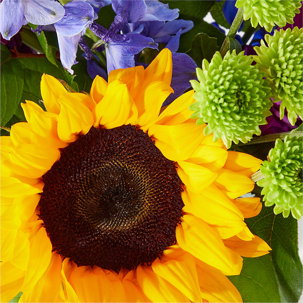Catching Rays Bouquet – Sugardoll Florist, New York NY
