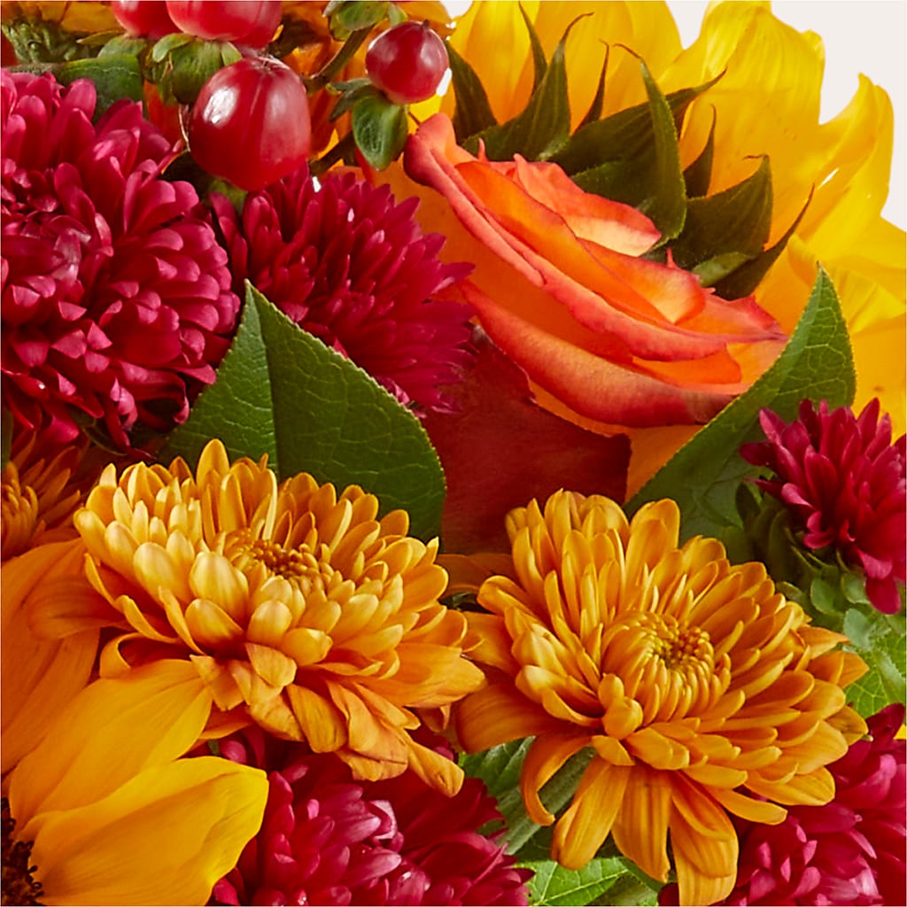 Sweater Season - A Florist Original – Sugardoll Florist, New York NY