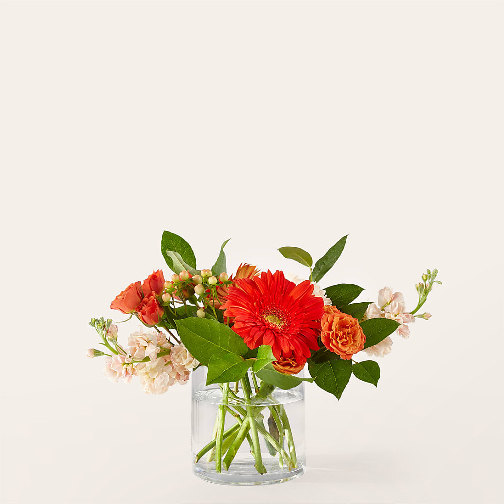 Paloma Please Bouquet – Sugardoll Florist, New York NY