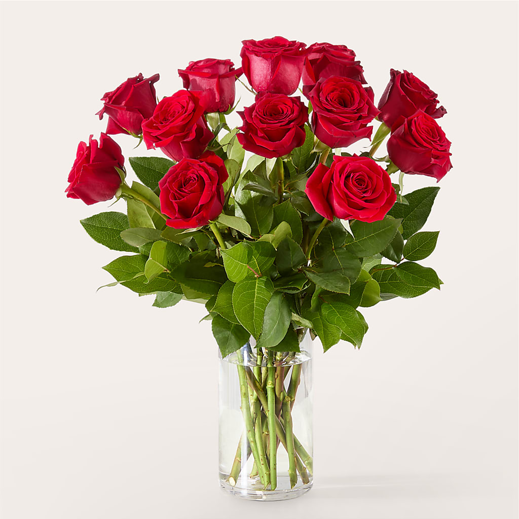 The One Red Rose Bouquet – Sugardoll Florist, New York NY