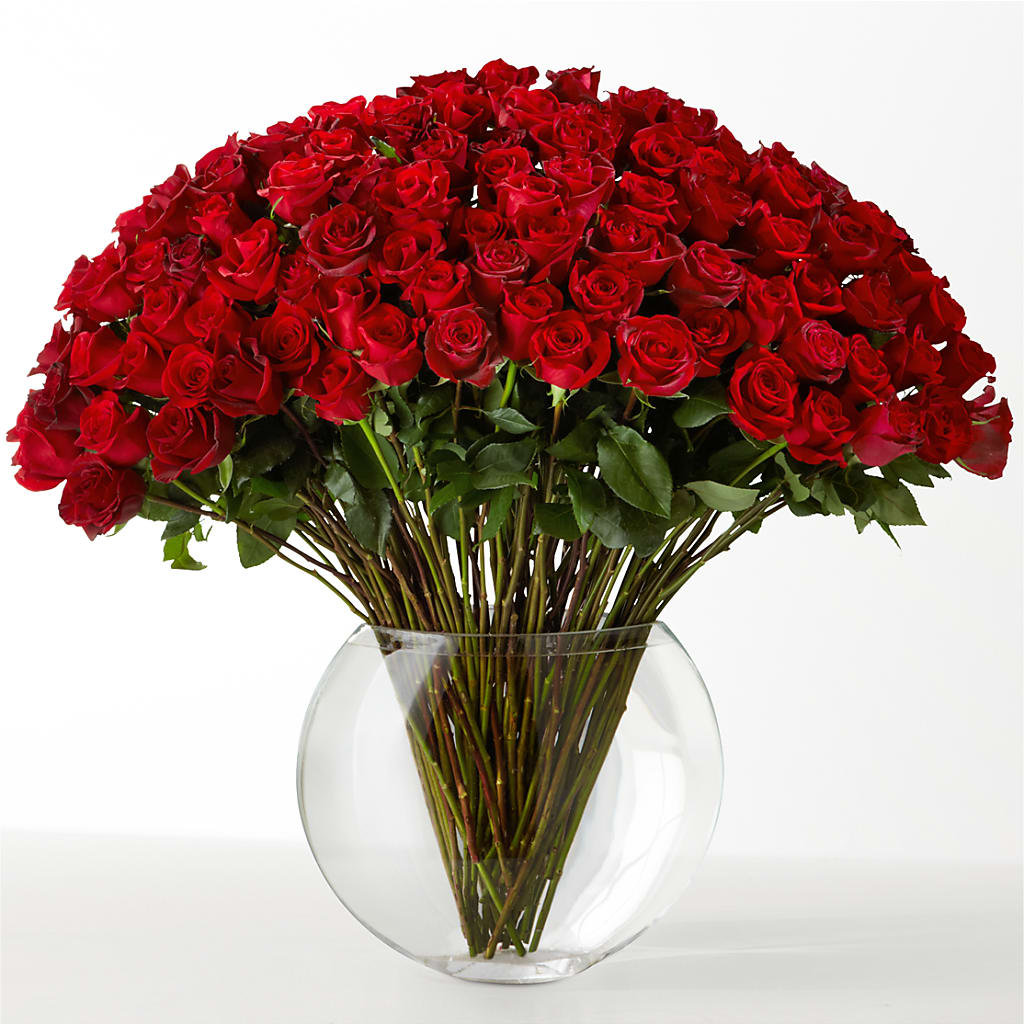 The Idealist – Sugardoll Florist, New York NY