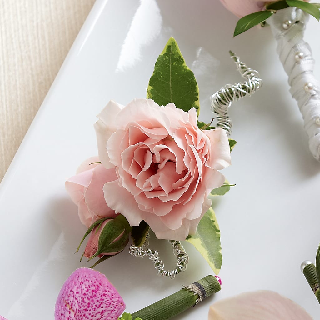 Pink Spray Rose Boutonniere – Sugardoll Florist, New York NY