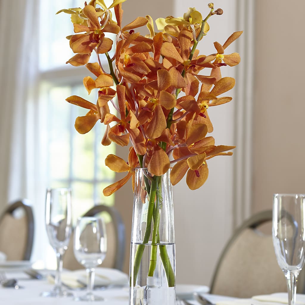 Orange Mokara Bud Vase – Sugardoll Florist, New York NY