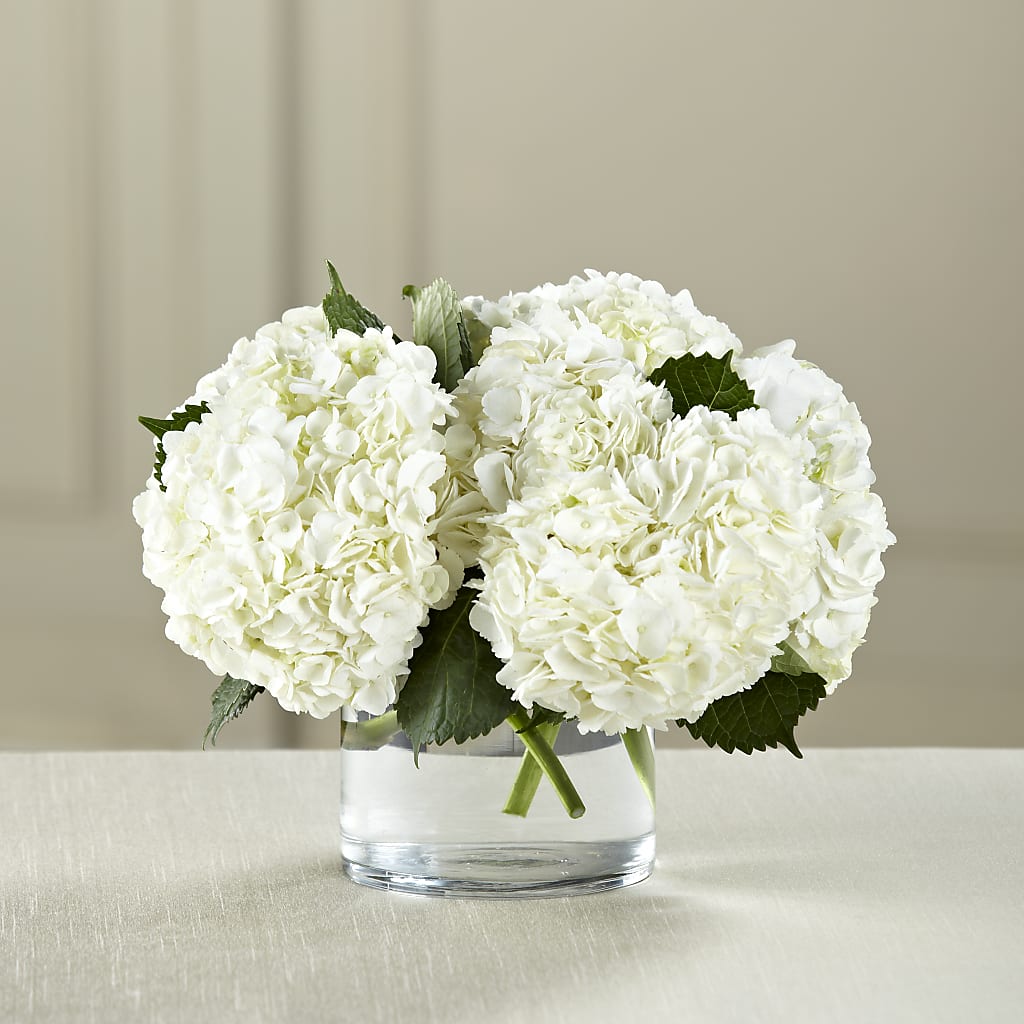 White Hydrangea Bouquet – Sugardoll Florist, New York NY
