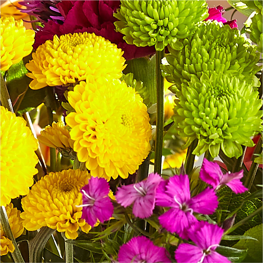 Bold & Bright – A Florist Original –  Sugardoll Florist, New York NY