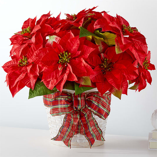 Happiest Holidays Poinsettia –  Sugardoll Florist, New York NY