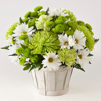 Lucky Charm Basket (Standard) –  Sugardoll Florist, New York NY