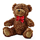 Adorable Plush Bear –  Sugardoll Florist, New York NY