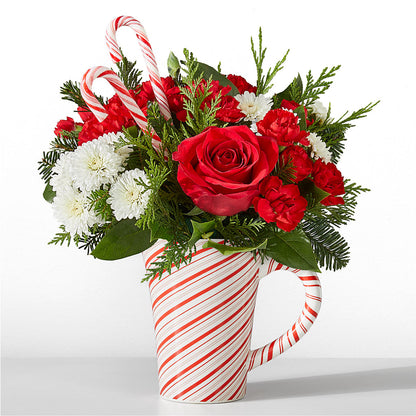 Peppermint Swirl Mug –  Sugardoll Florist, New York NY
