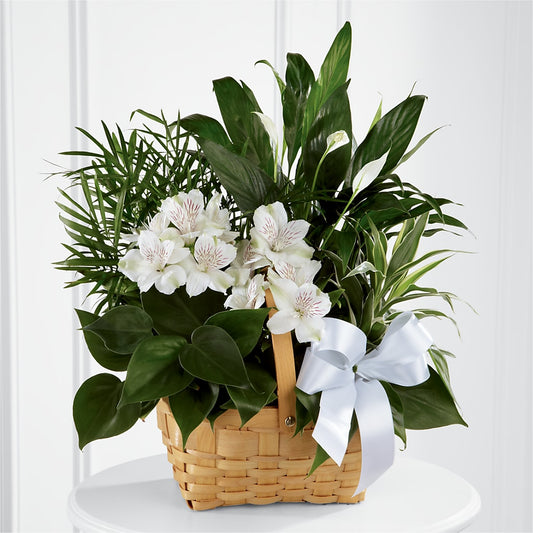 Peace & Serenity Dishgarden –  Sugardoll Florist, New York NY