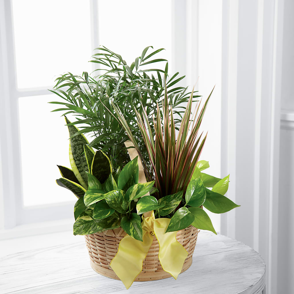 French Garden –  Sugardoll Florist, New York NY