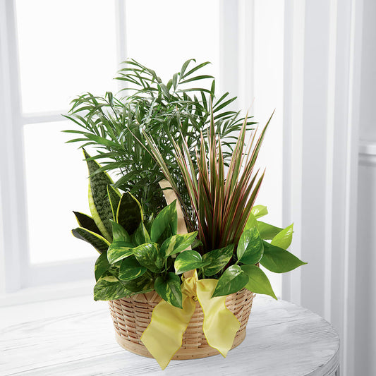 French Garden –  Sugardoll Florist, New York NY