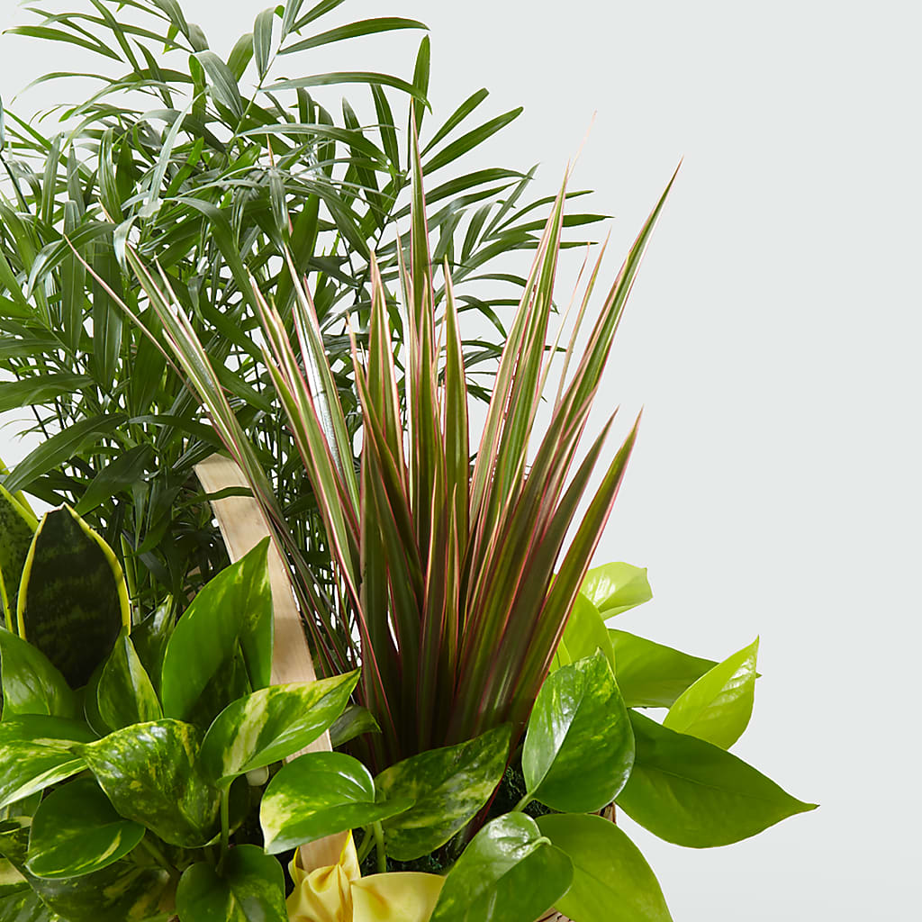 French Garden –  Sugardoll Florist, New York NY
