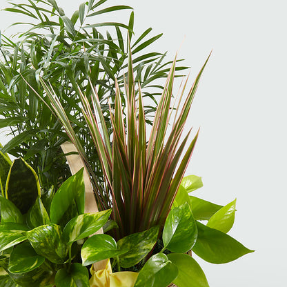 French Garden –  Sugardoll Florist, New York NY