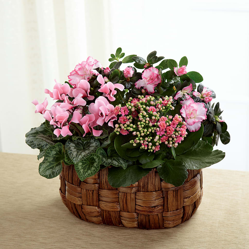 Pink Assortment –  Sugardoll Florist, New York NY