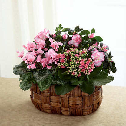 Pink Assortment –  Sugardoll Florist, New York NY