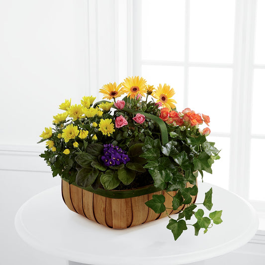 Gentle Blossoms Basket –  Sugardoll Florist, New York NY