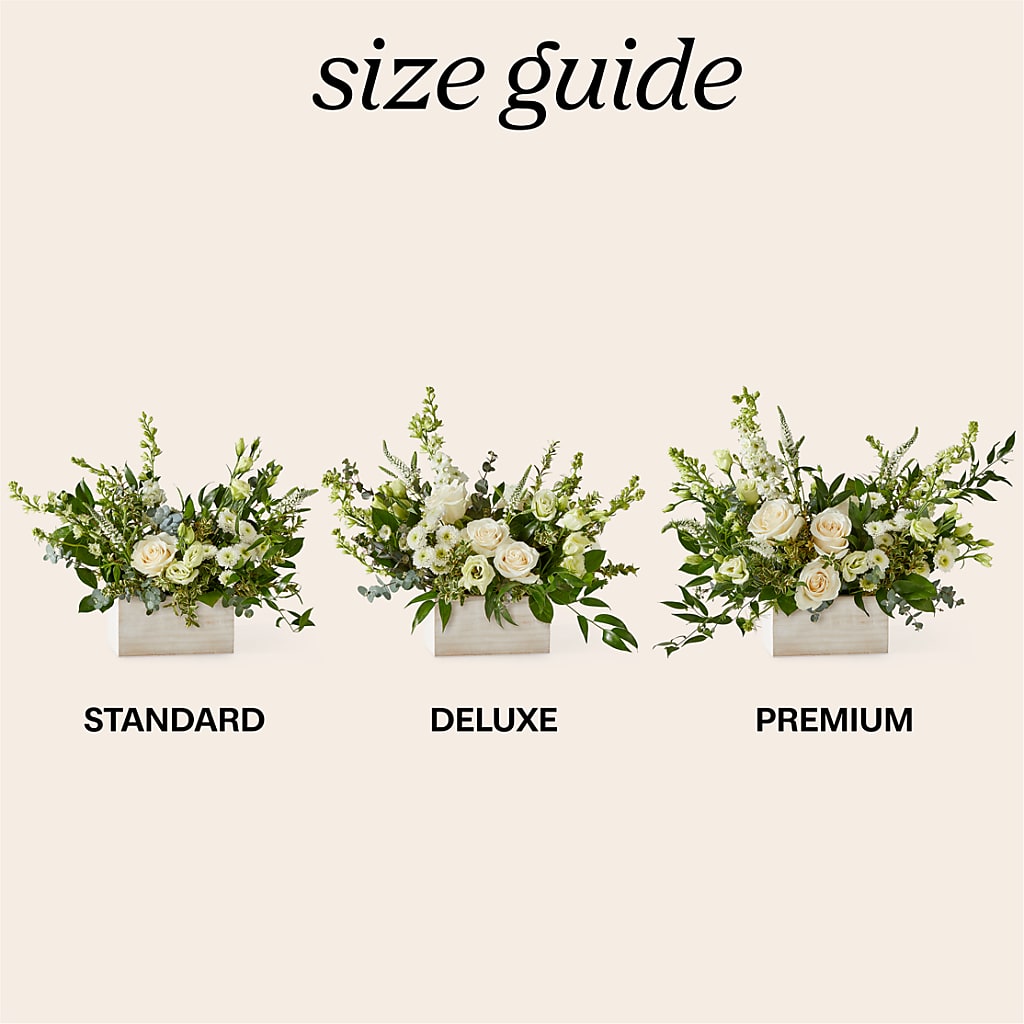 Cashmere Bouquet –  Sugardoll Florist, New York NY
