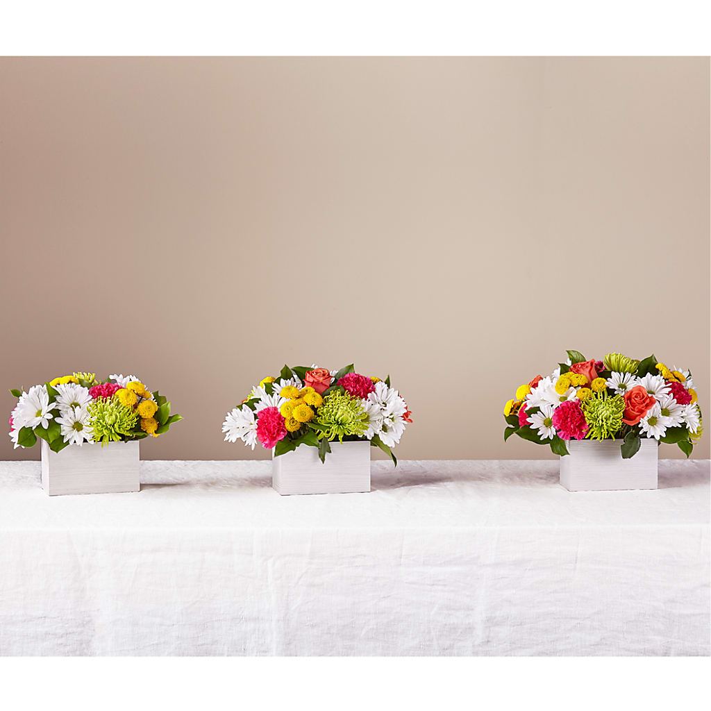 Sorbet Bouquet –  Sugardoll Florist, New York NY