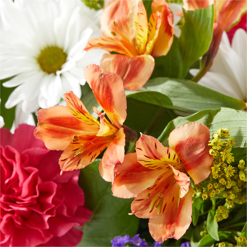 Oopsie Daisy Box Bouquet –  Sugardoll Florist, New York NY