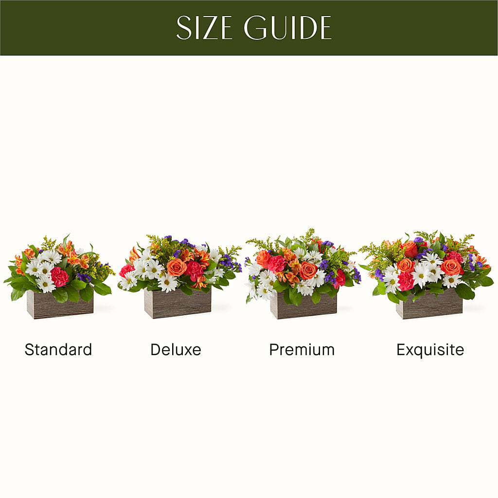 Oopsie Daisy Box Bouquet –  Sugardoll Florist, New York NY