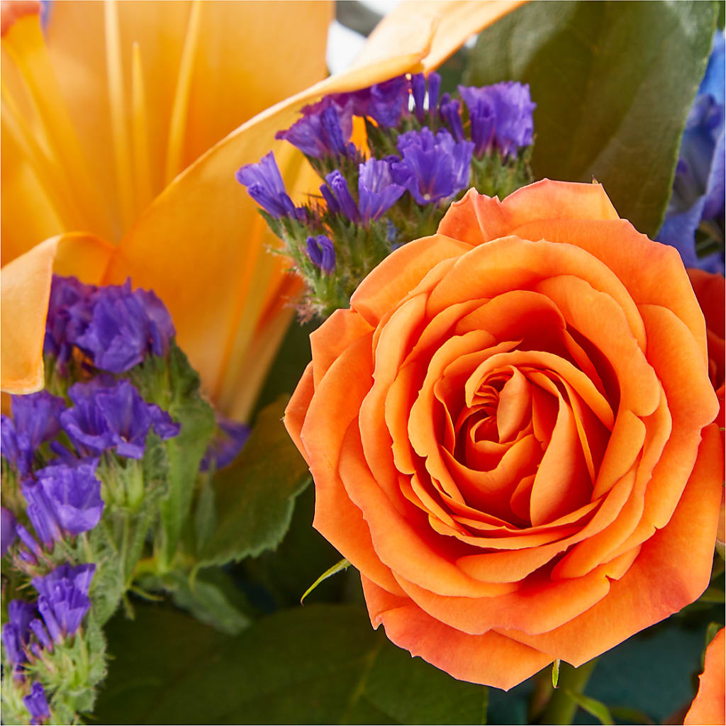 Radiant Citrus Box Bouquet –  Sugardoll Florist, New York NY