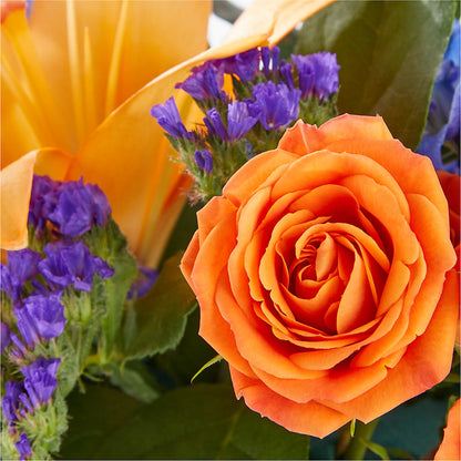 Radiant Citrus Box Bouquet –  Sugardoll Florist, New York NY