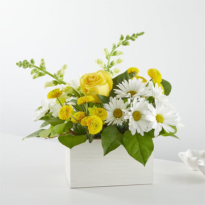 Sun Salutation Box Bouquet –  Sugardoll Florist, New York NY