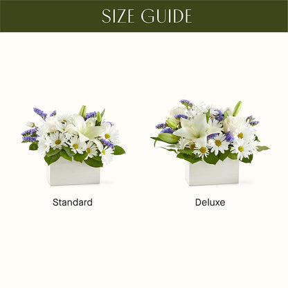 Beyond Blue Box Bouquet –  Sugardoll Florist, New York NY