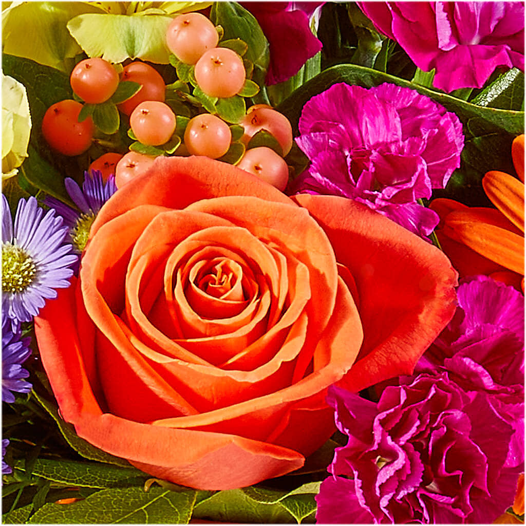 Tricks & Treats Pumpkin –  Sugardoll Florist, New York NY