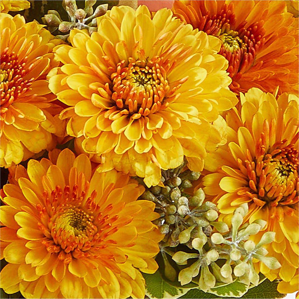 Peachy Pumpkin –  Sugardoll Florist, New York NY