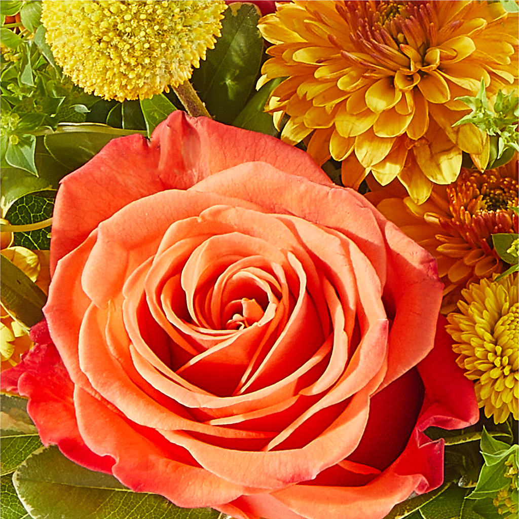 Gourdgeous Pumpkin –  Sugardoll Florist, New York NY