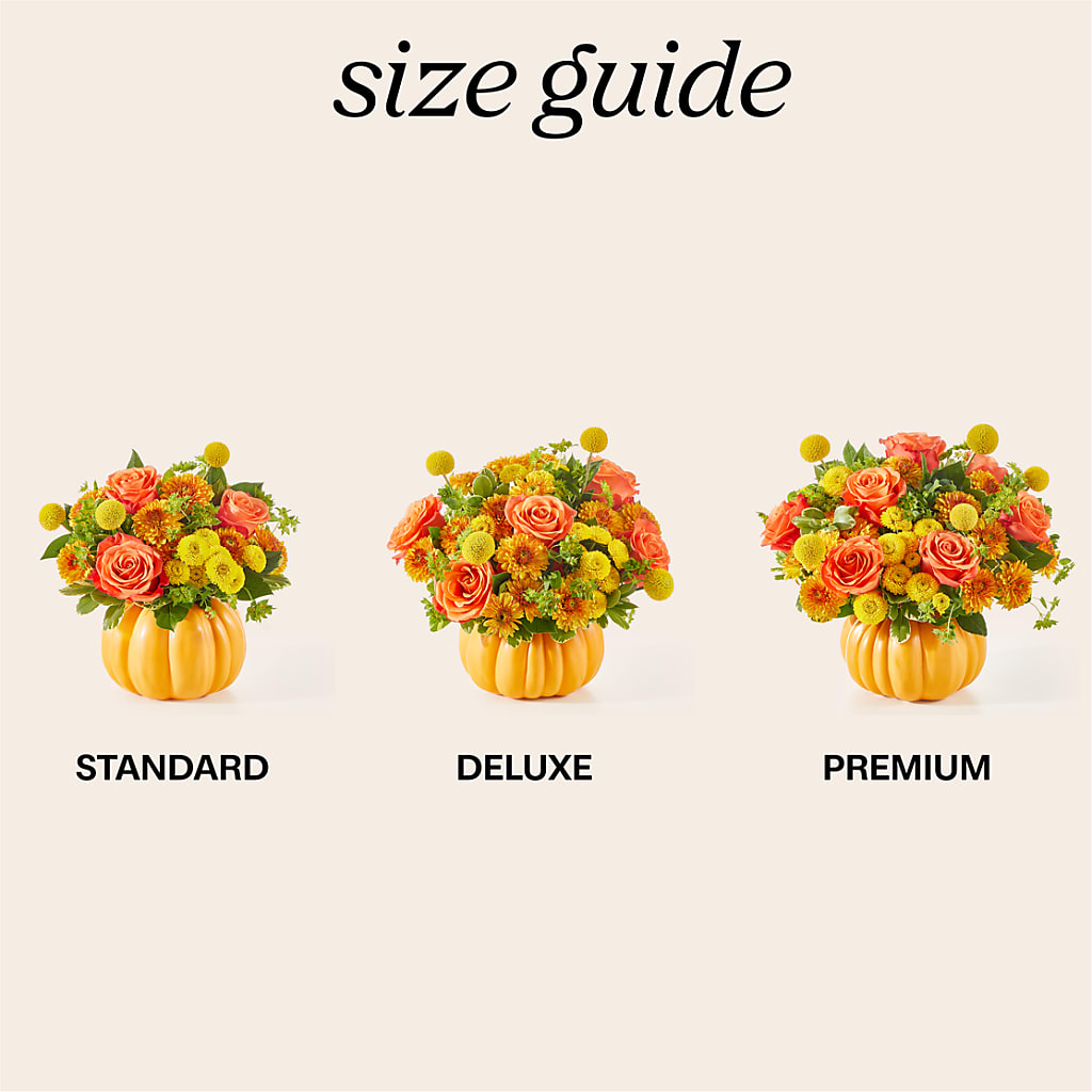 Gourdgeous Pumpkin –  Sugardoll Florist, New York NY