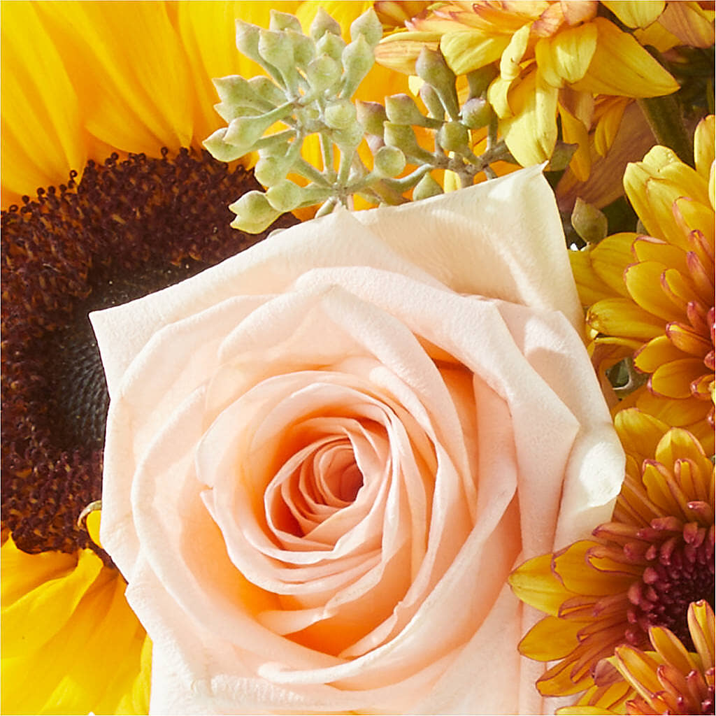 Pumpkin to Talk About Bouquet –  Sugardoll Florist, New York NY