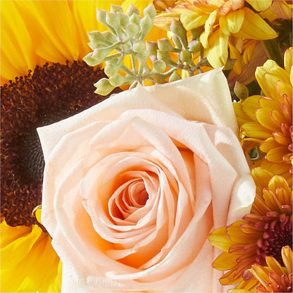 Pumpkin to Talk About Bouquet –  Sugardoll Florist, New York NY
