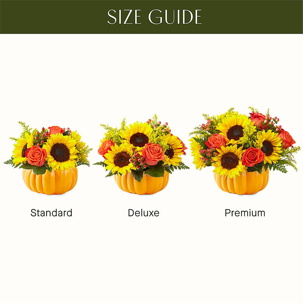 Pick of the Patch Pumpkin Bouquet –  Sugardoll Florist, New York NY