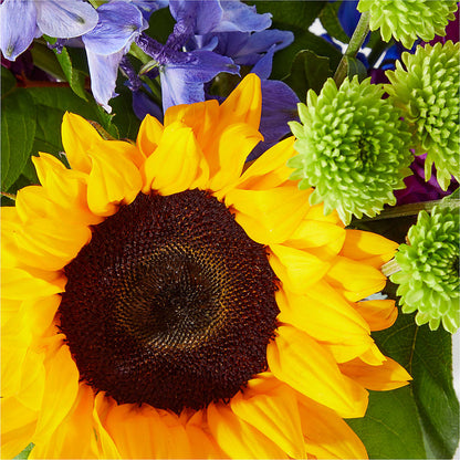 Catching Rays Bouquet –  Sugardoll Florist, New York NY
