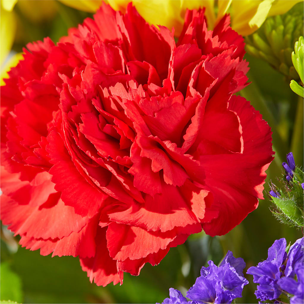 Brighter Days Bouquet –  Sugardoll Florist, New York NY