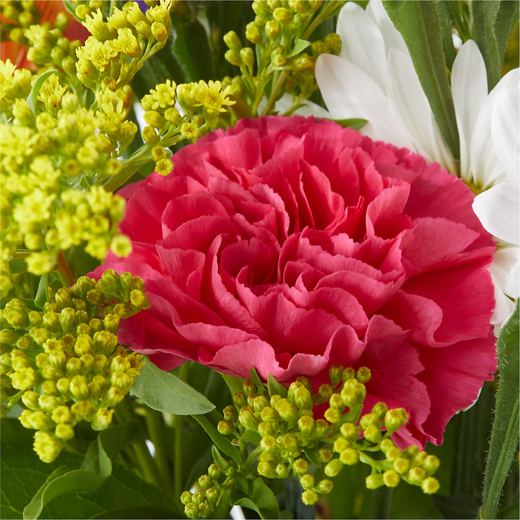 Oopsie Daisy Bouquet –  Sugardoll Florist, New York NY