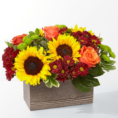 Happy Harvest Garden –  Sugardoll Florist, New York NY
