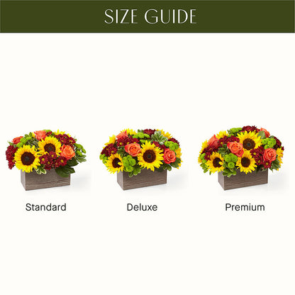 Happy Harvest Garden –  Sugardoll Florist, New York NY