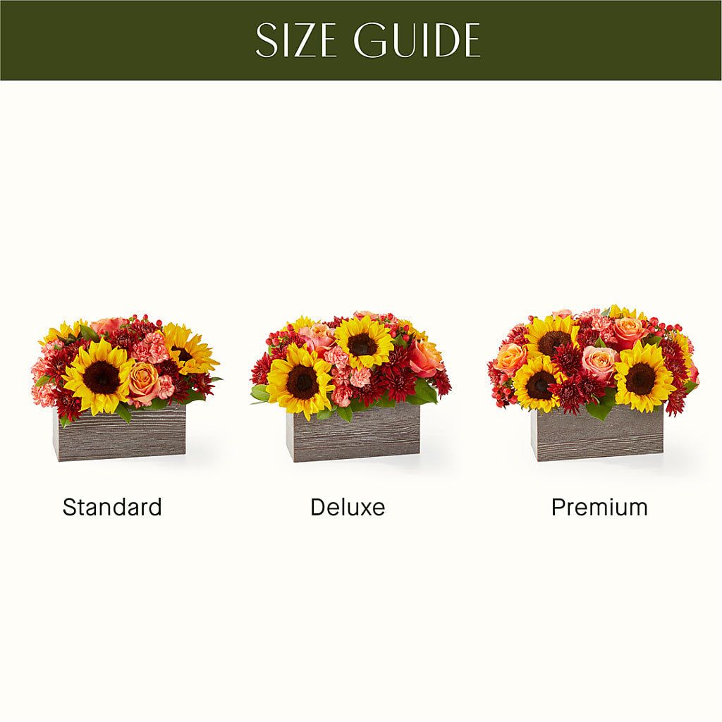 Fresh Cider Bouquet –  Sugardoll Florist, New York NY