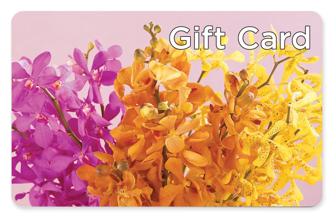 Gift Card –  Sugardoll Florist, New York NY