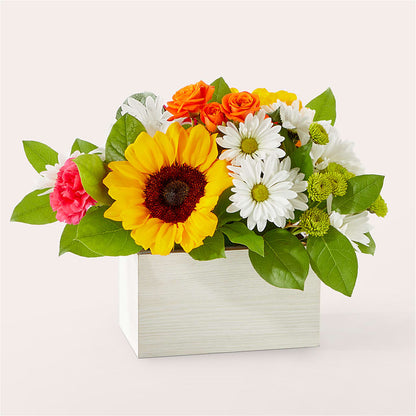 Sun-drenched Blooms Box Bouquet –  Sugardoll Florist, New York NY
