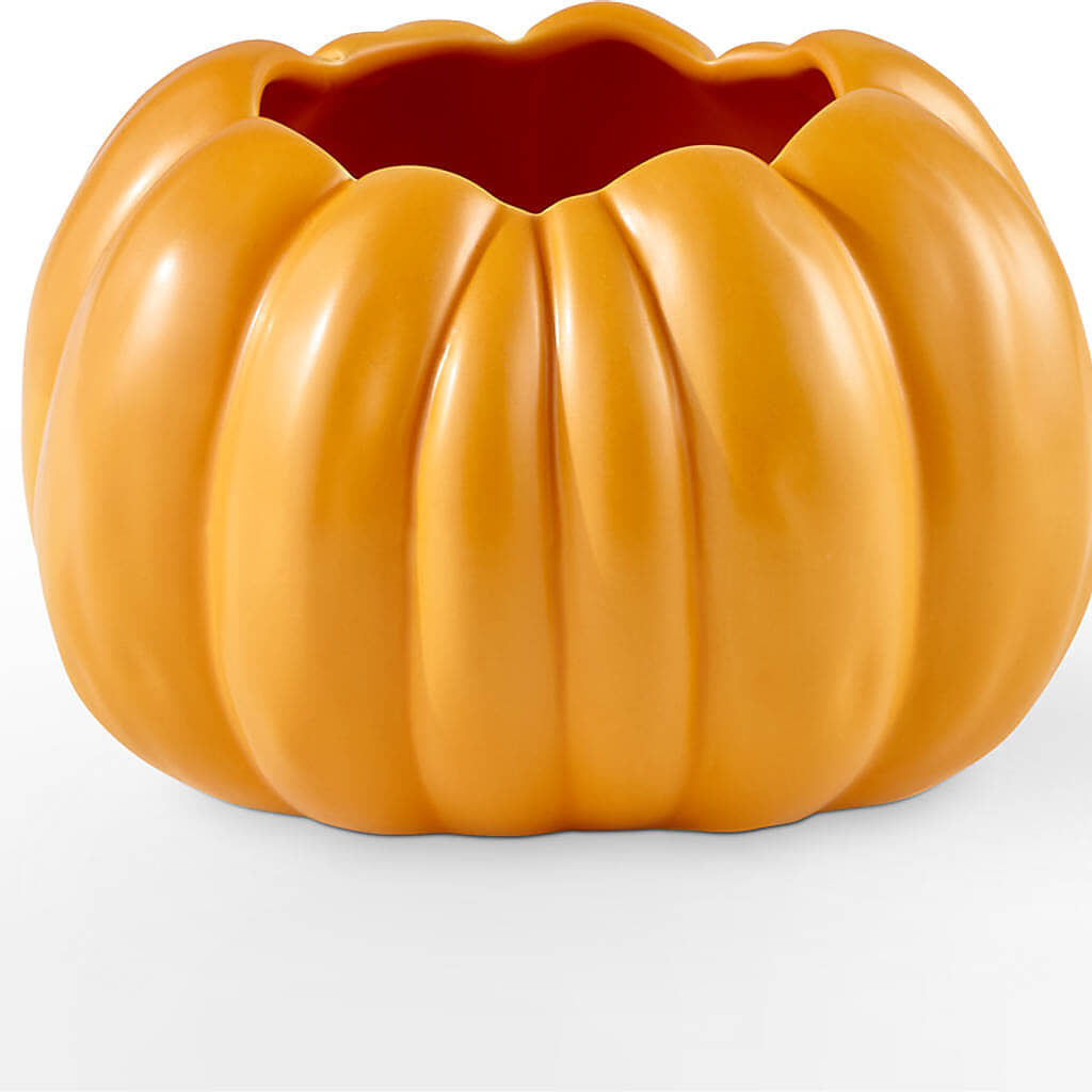 Pick of the Patch Pumpkin Bouquet –  Sugardoll Florist, New York NY