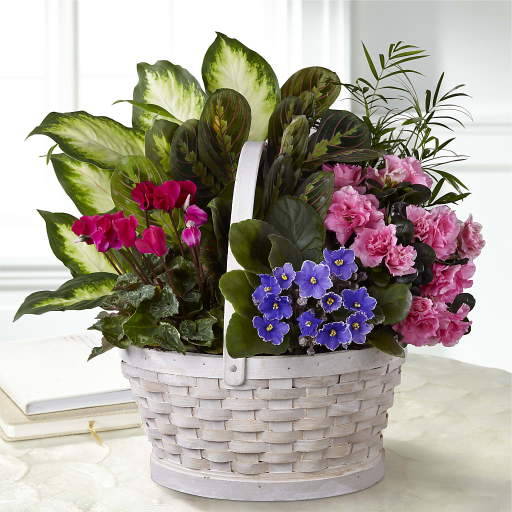 Peaceful Garden Planter –  Sugardoll Florist, New York NY