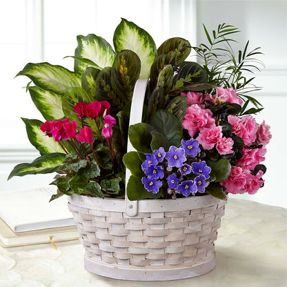 Peaceful Garden Planter –  Sugardoll Florist, New York NY