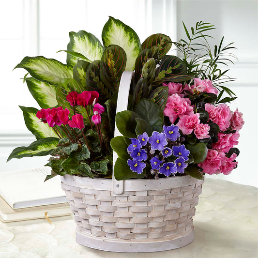Peaceful Garden Planter –  Sugardoll Florist, New York NY