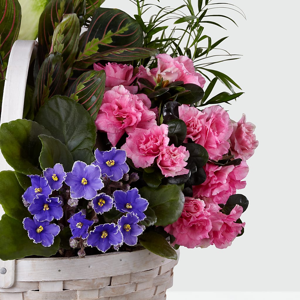 Peaceful Garden Planter –  Sugardoll Florist, New York NY