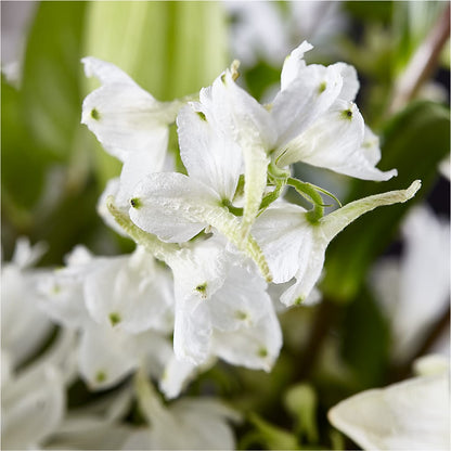 Classic Ivory – A Florist Original –  Sugardoll Florist, New York NY